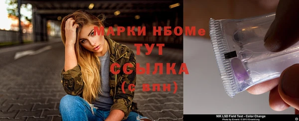 шишки Абаза