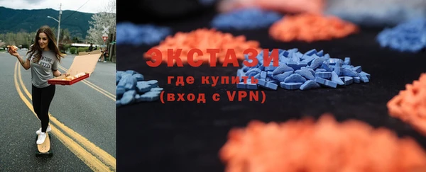 шишки Абаза