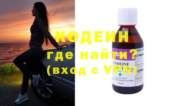 шишки Абаза