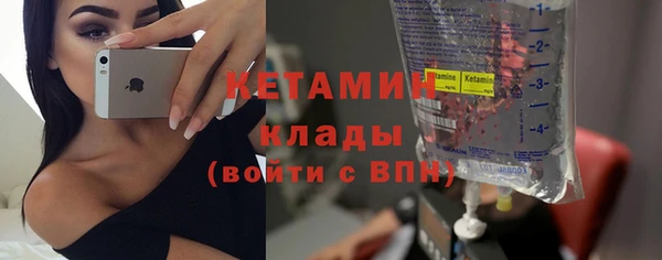 шишки Абаза