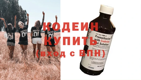 шишки Абаза