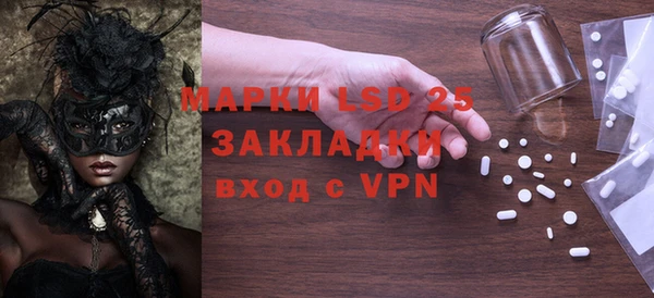 шишки Абаза