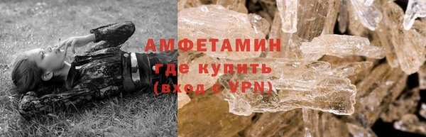 шишки Абаза