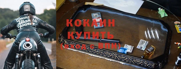 шишки Абаза