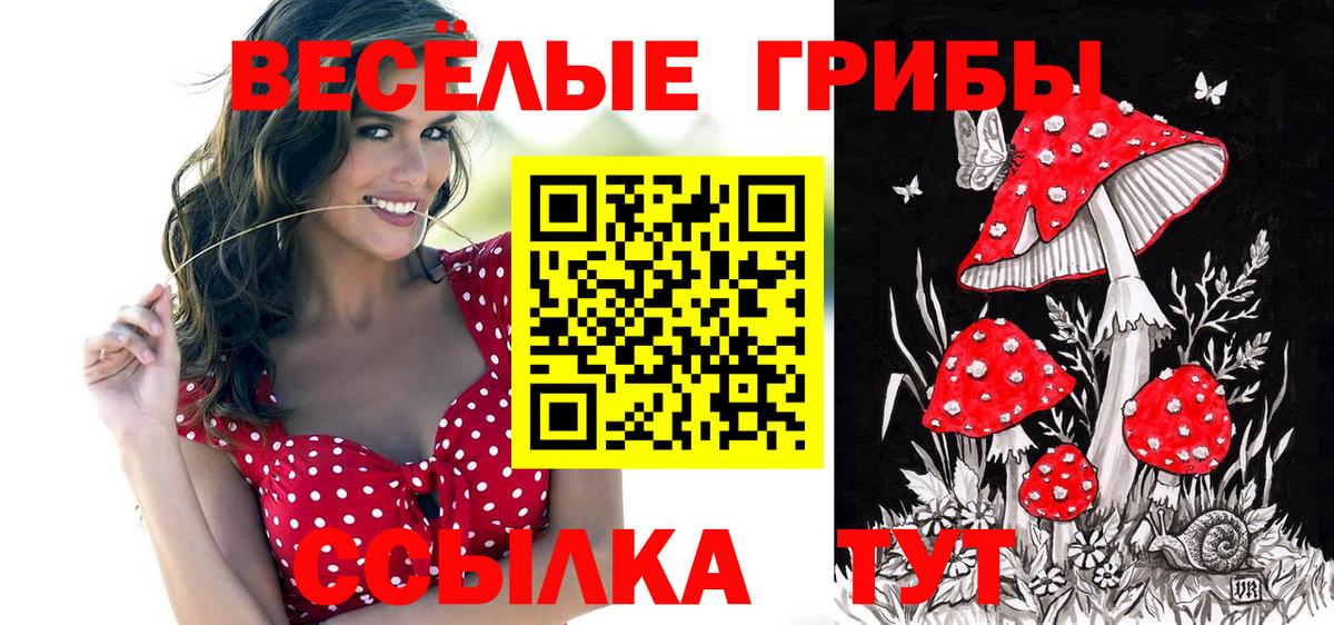 Псилоцибиновые грибы прущие грибы  купить  цена  Чита  Вход с VPN 