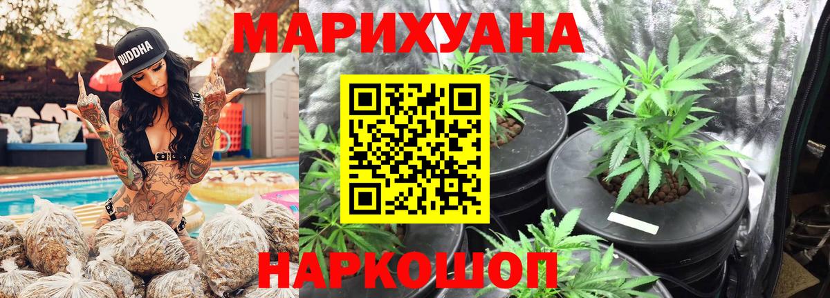 Канабис план  Бошки марихуана сатива  Бошки Шишки марихуана  Вход с VPN  МАРИХУАНА тримм  Чита 
